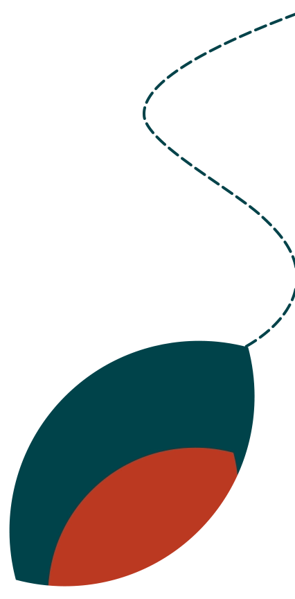 IED - Gradua&ccedil;&atilde;o Design